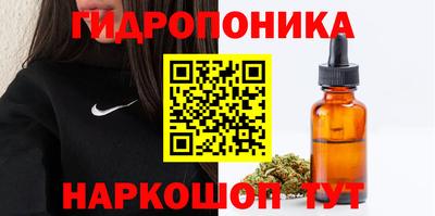 крисы Краснокаменск