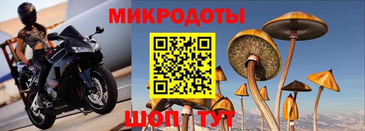 Красногорск  Галлюциногенные грибы GOLDEN TEACHER  Вход с VPN 